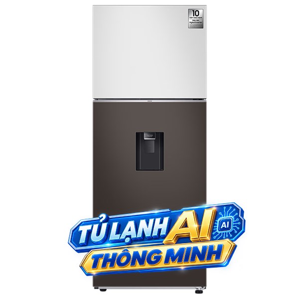 Samsung Inverter 406 lít Bespoke RT42CB6784C3SV
